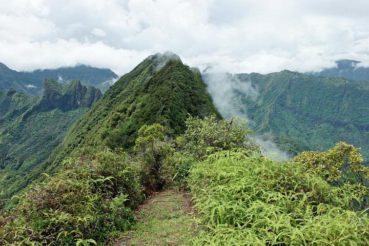 Tahiti 10.jpg